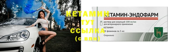 индика Иннополис