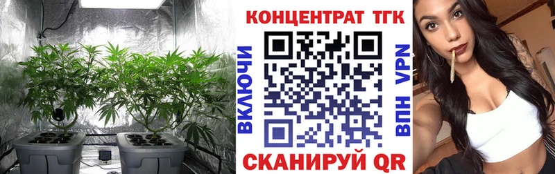 Дистиллят ТГК концентрат  kraken ТОР  Вичуга  наркошоп 
