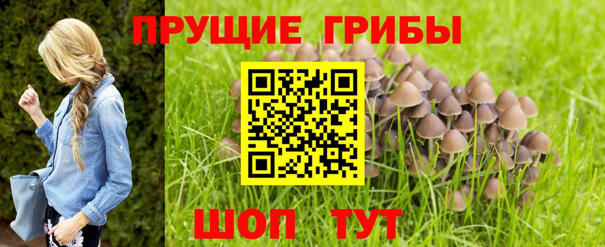 Псилоцибиновые грибы мухоморы  где купить наркоту  Вичуга  Вход с VPN 