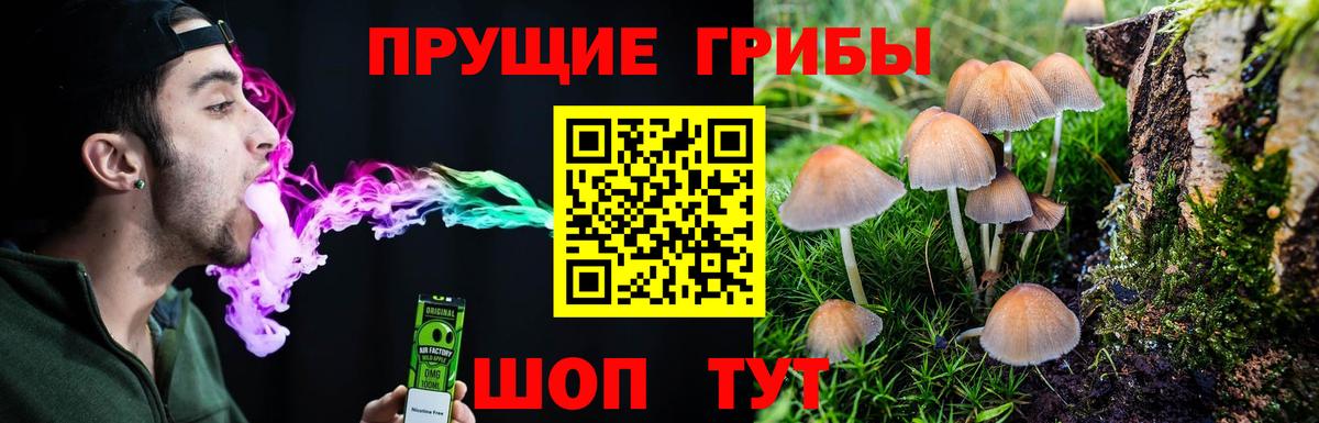 Псилоцибиновые грибы Psilocybine cubensis Вичуга